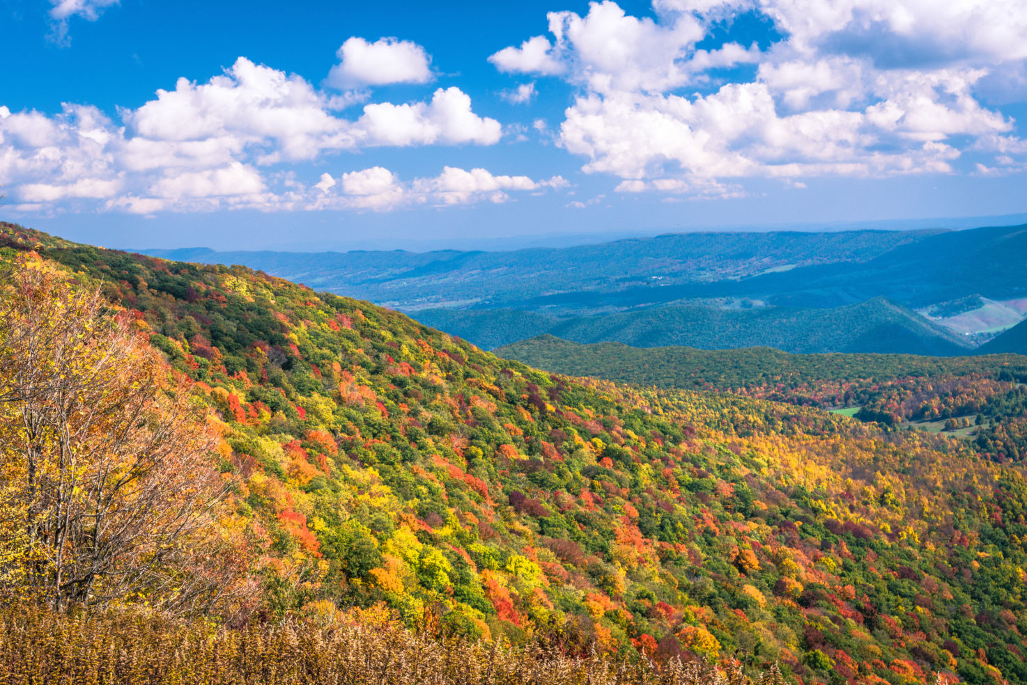 Fayetteville, W.Va. (Winner 2006):