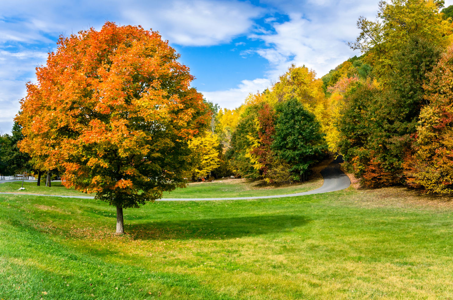 Great Barrington, Massachusetts (CST Winner 2006)