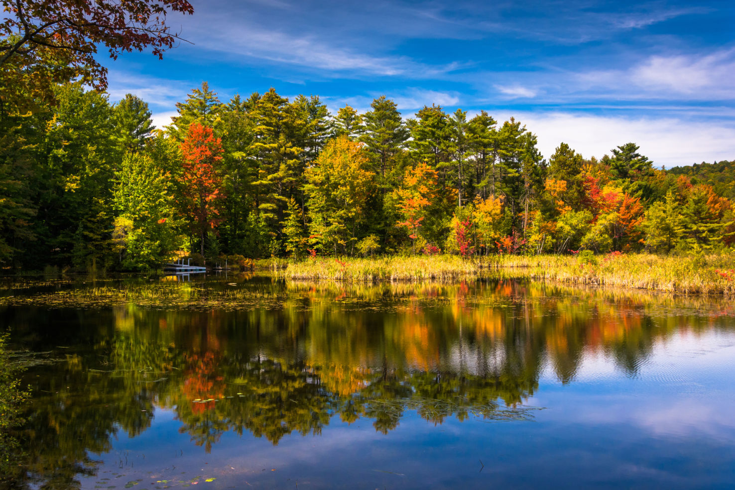 Belfast, Maine (CST Winner 2008)