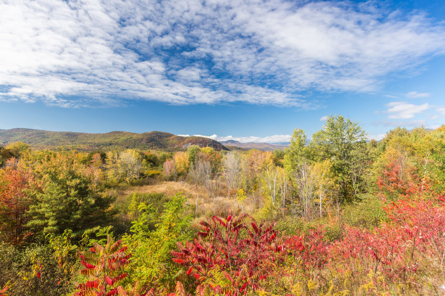 White River Junction, Vermont CST Winner 2008