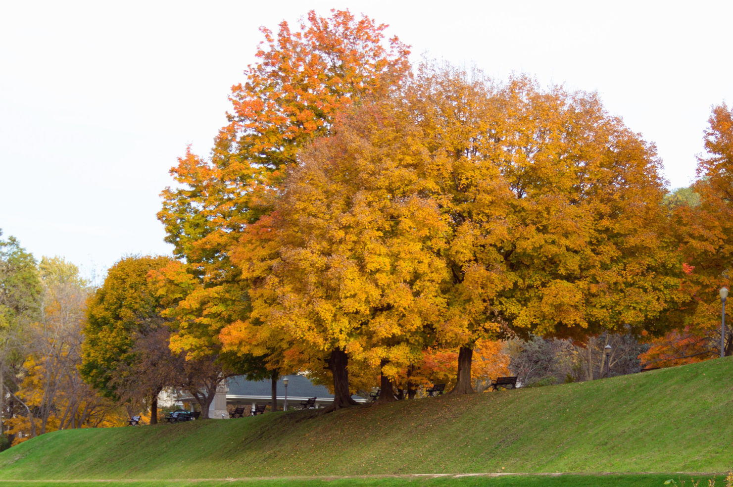 Galena, Illinois (CST Winner 2014)
