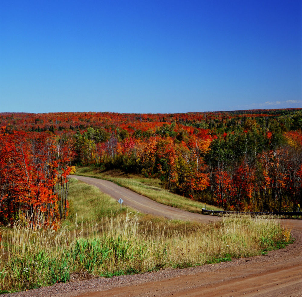 Superior National Forest near Grand Marais Minnesota