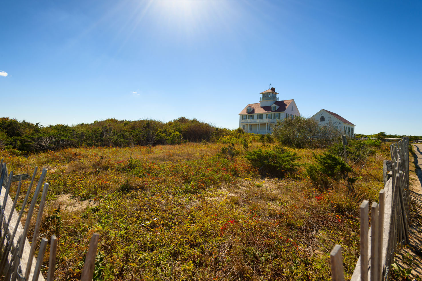 Cape Cod