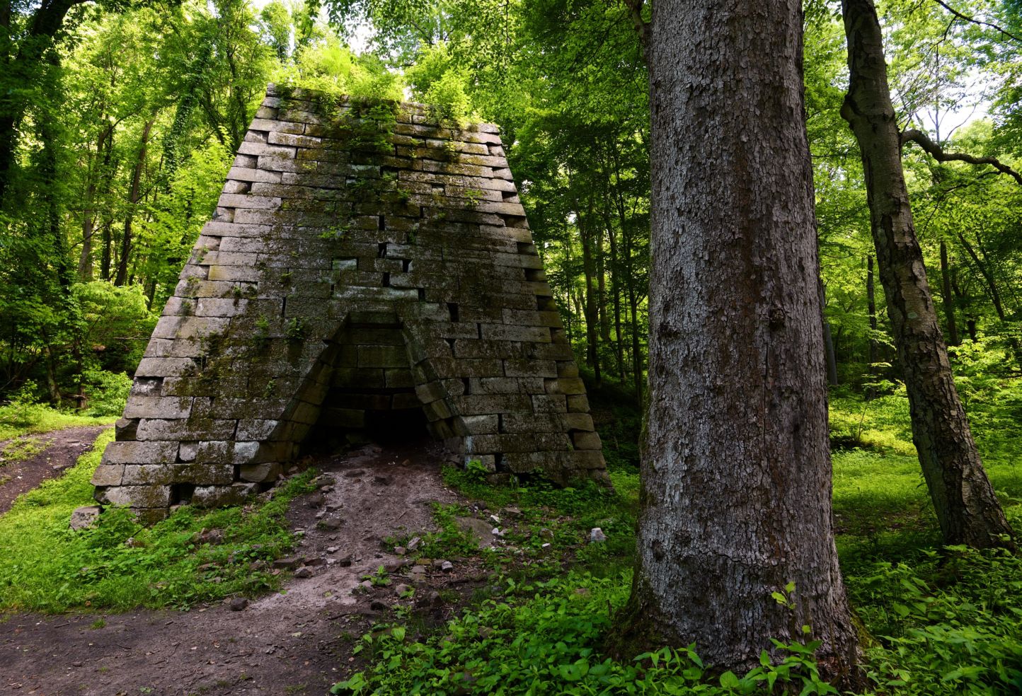 Coopers Rock State Forest, Morgantown, West Virginia