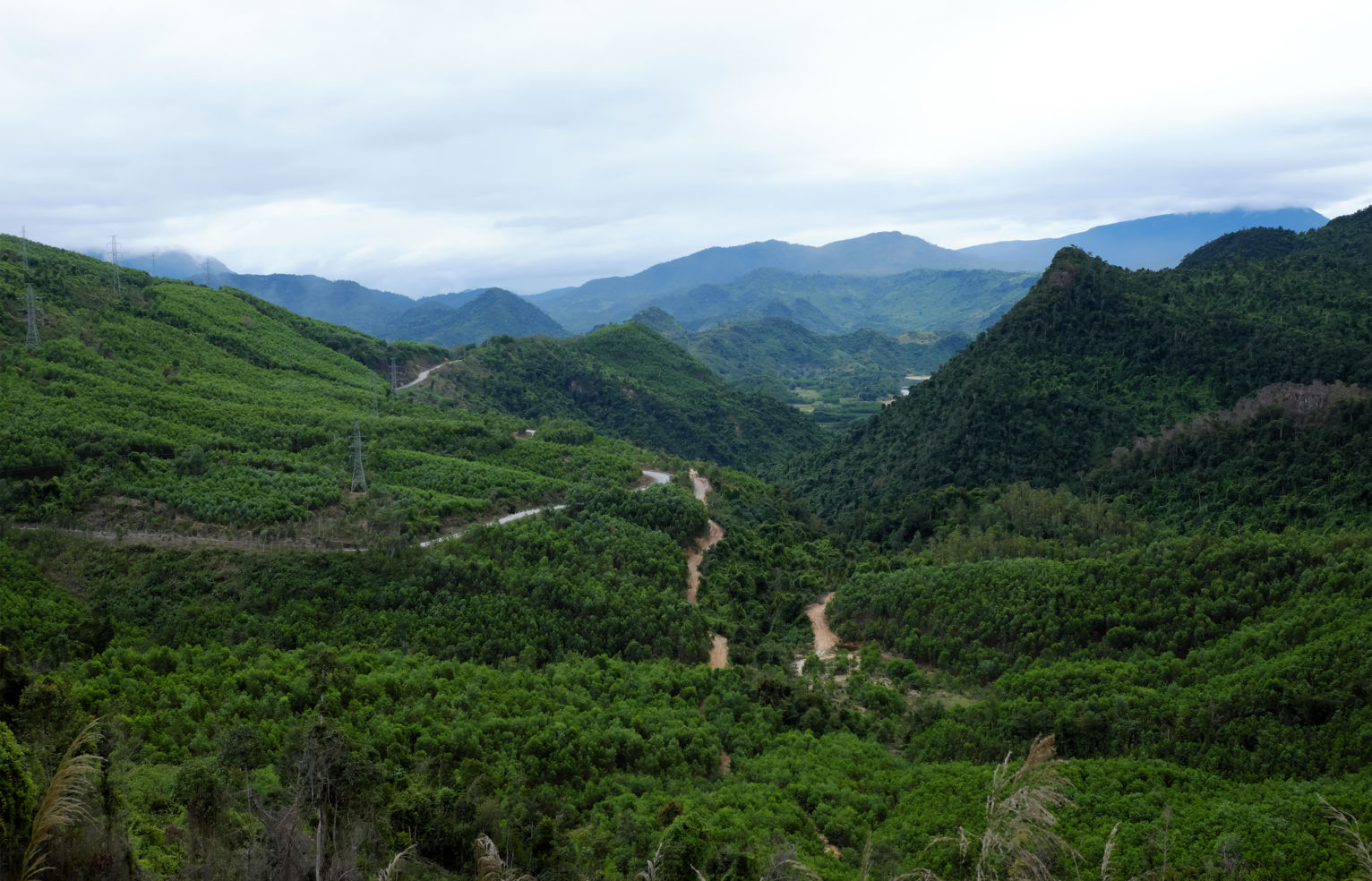 Ho Chi Minh Trail