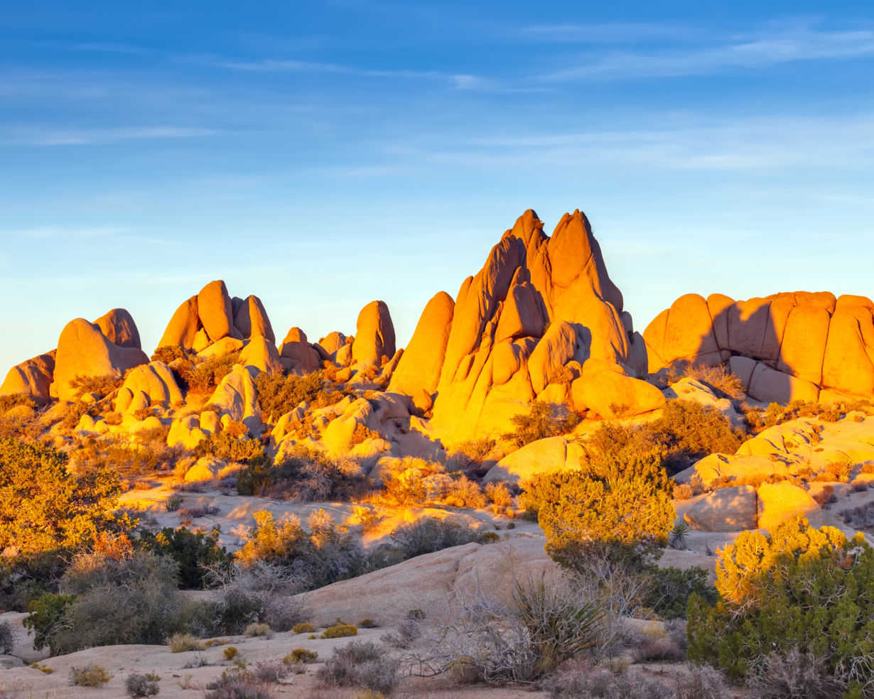 Joshua Tree National Park, California