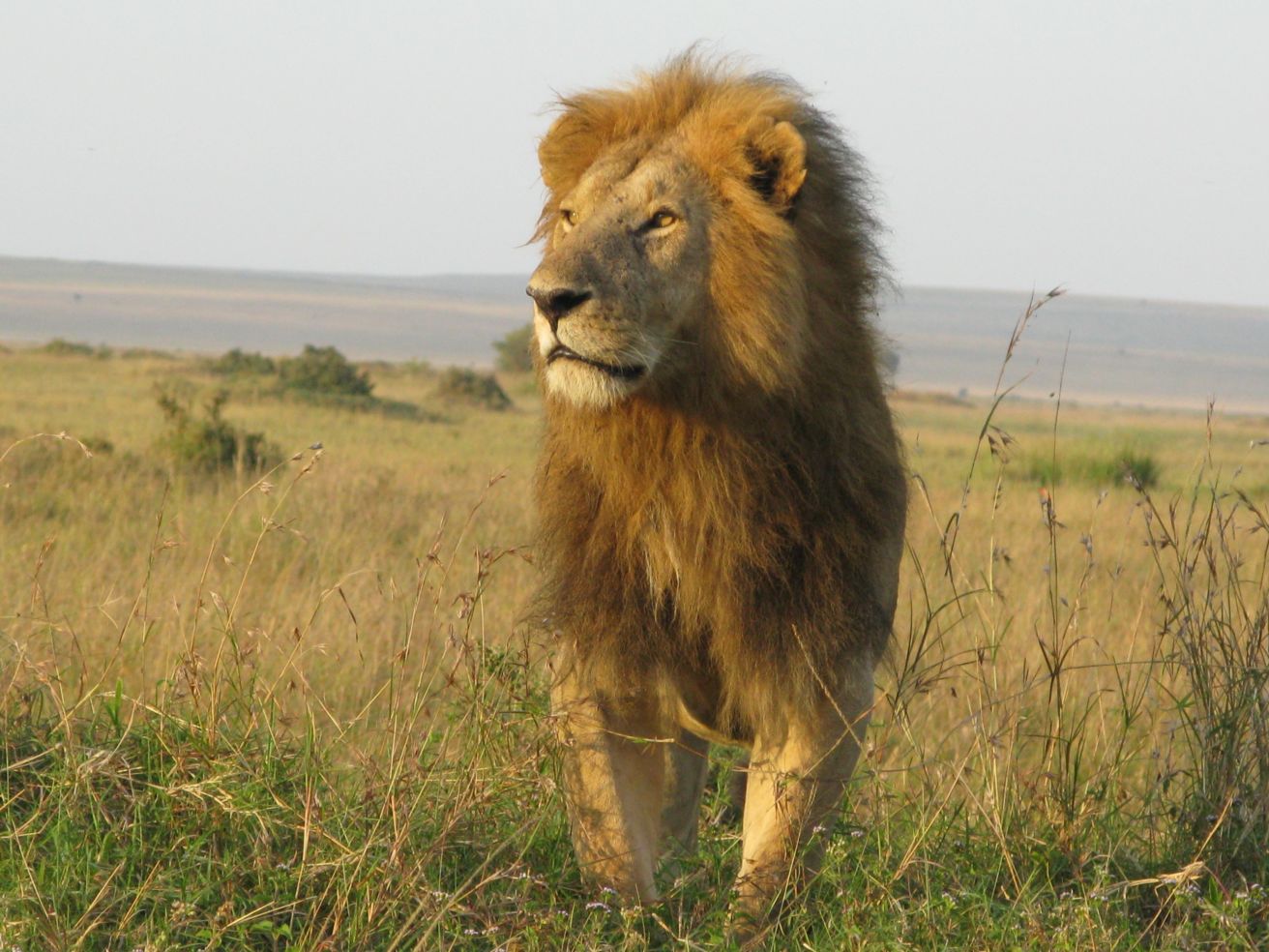 Kenya, Africa