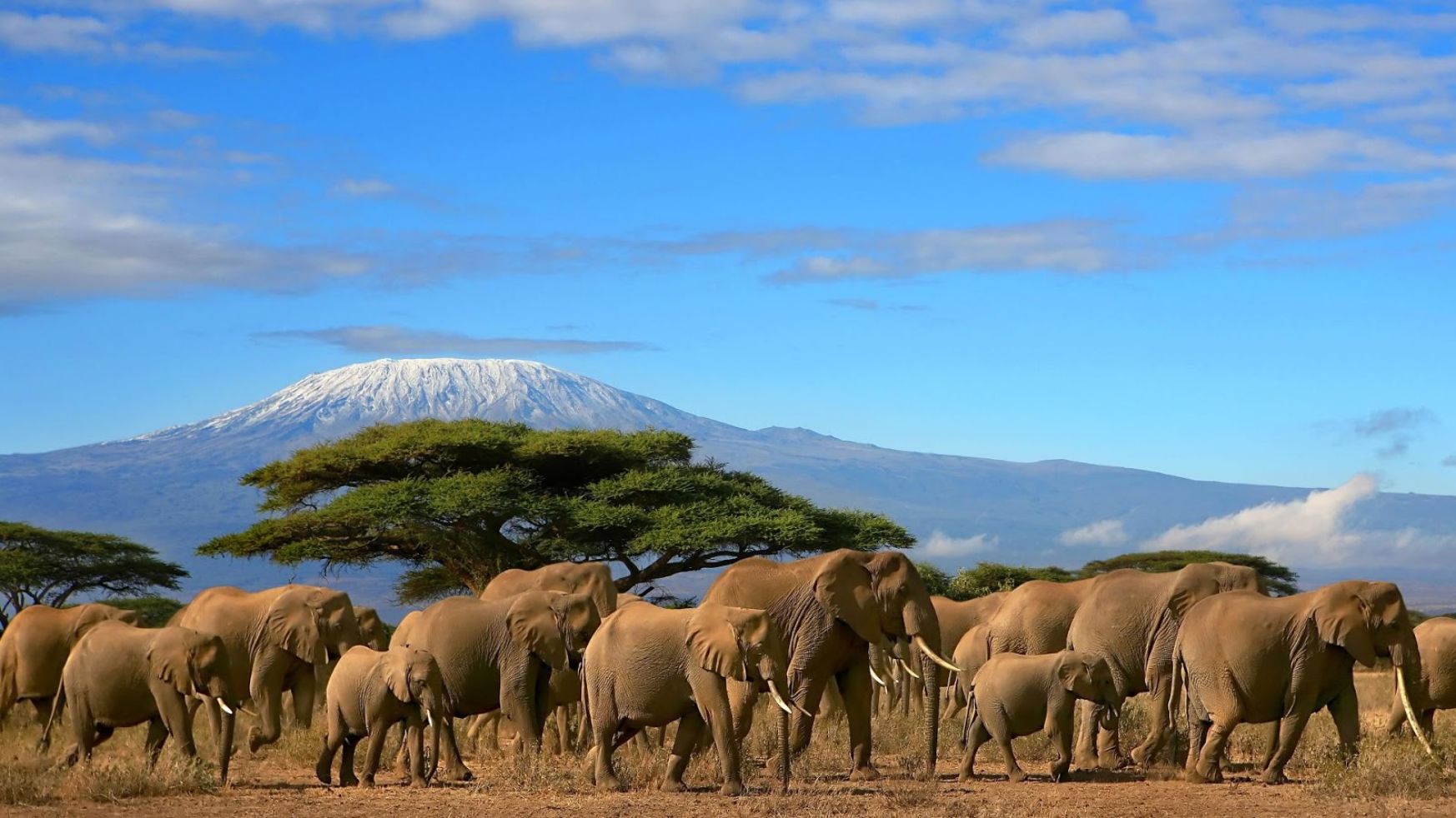 Mount Kilimanjaro, Tanzania