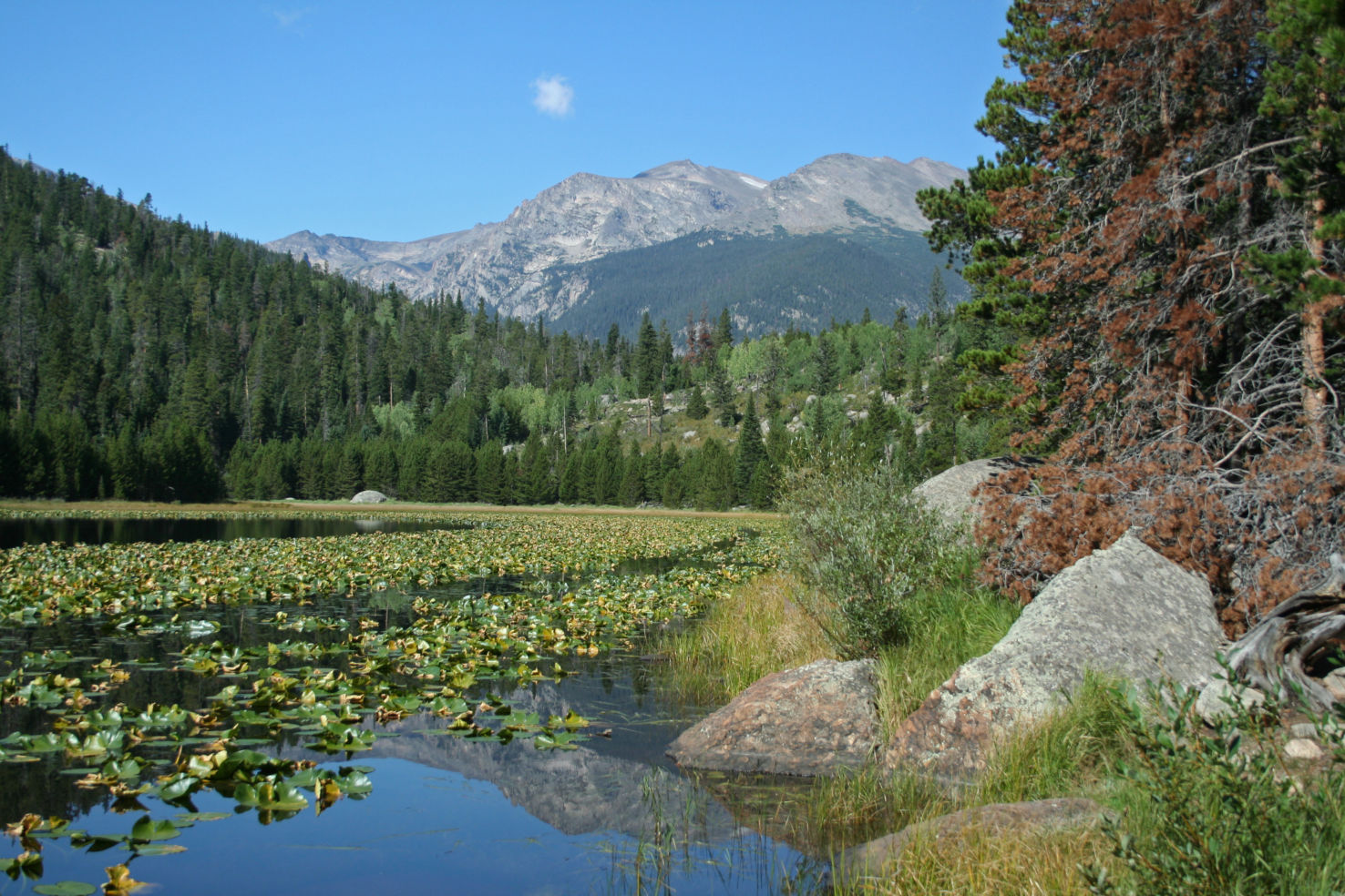 The Rocky Mountains in Colorado