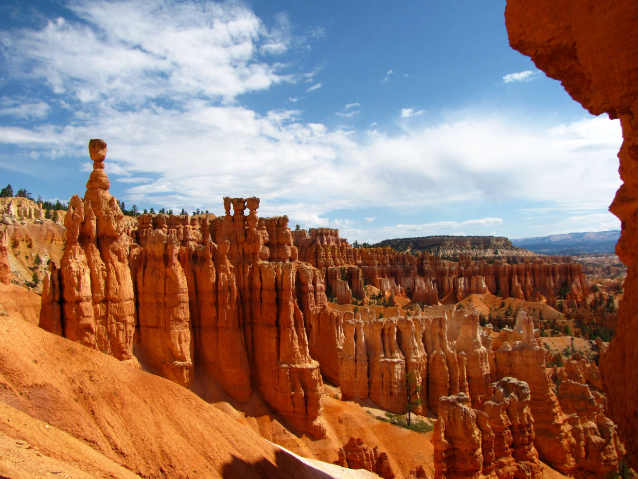 A view of Bryce Canyon