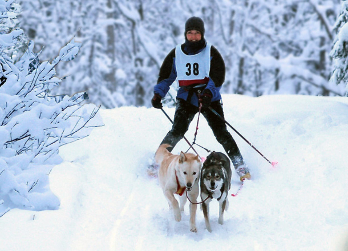 5 Best Places for Winter Sports Budget Travel