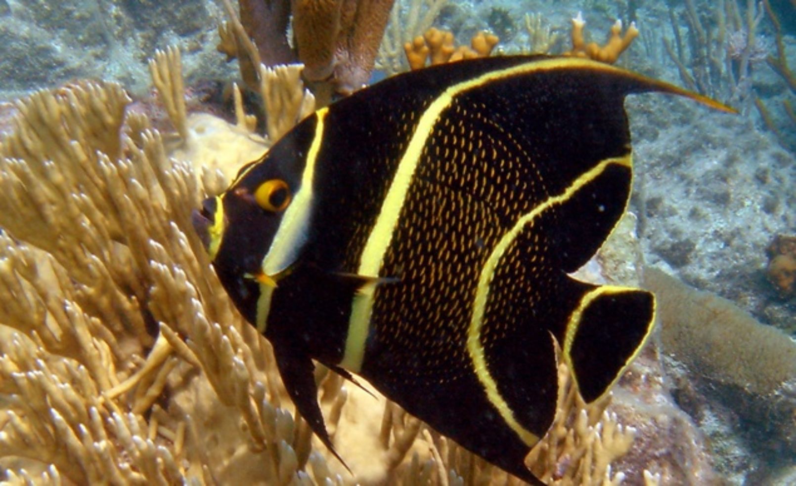 Virgin Islands NP