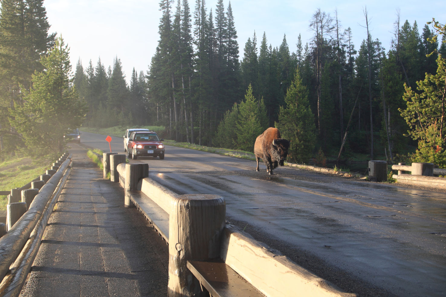 Yellowstone