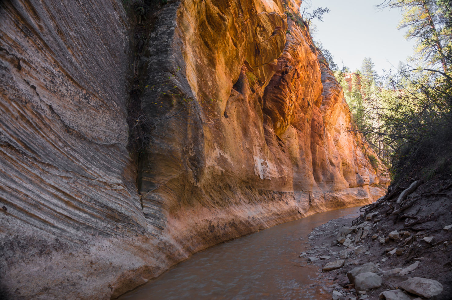 Zion Narrows