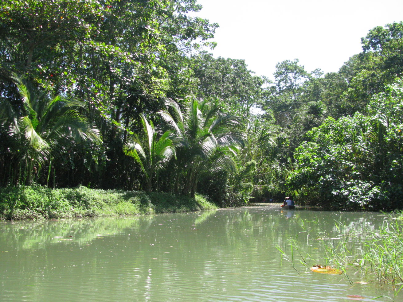 A peaceful river in Costa Rica