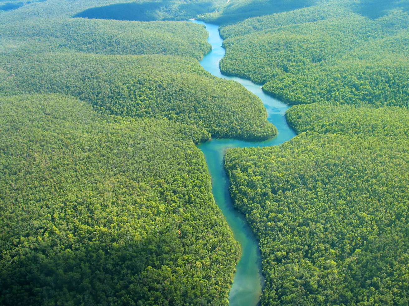Aerial view of the Amazon River