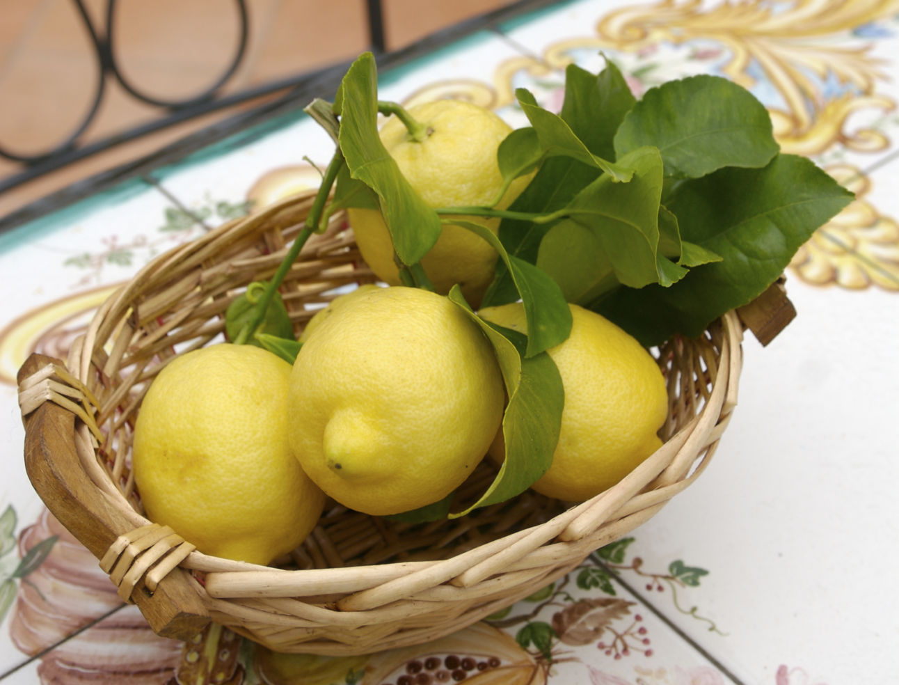 Amalfi-Coast_4681077_lemons
