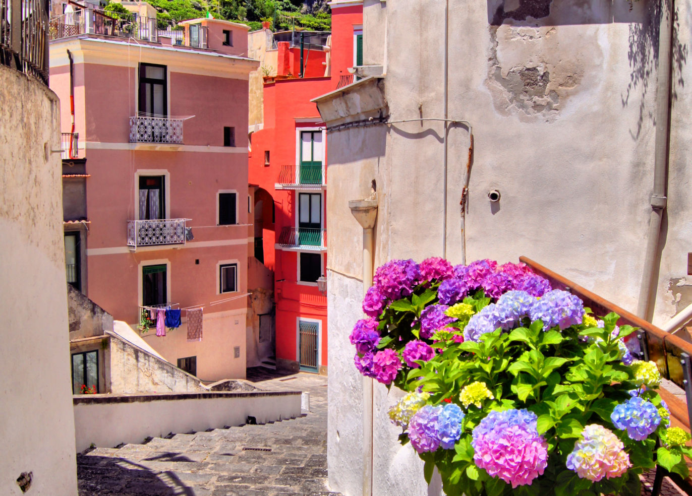 Amalfi-Coast_flowers