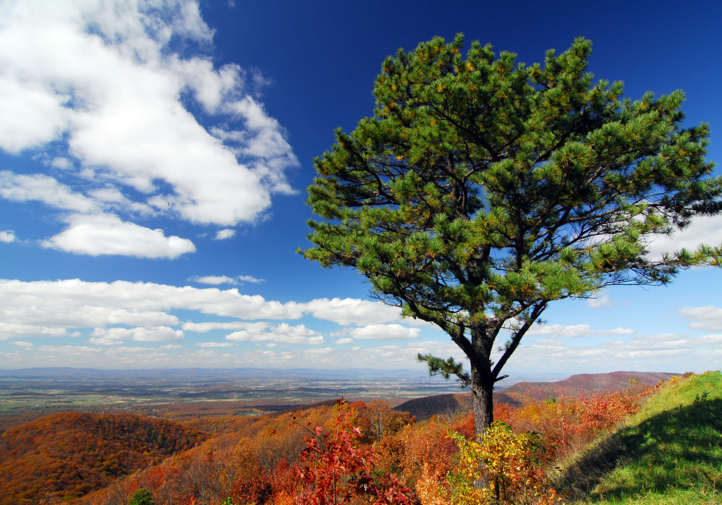 American_Drives_Blue-Ridge-Parkway_Shenandoah_park