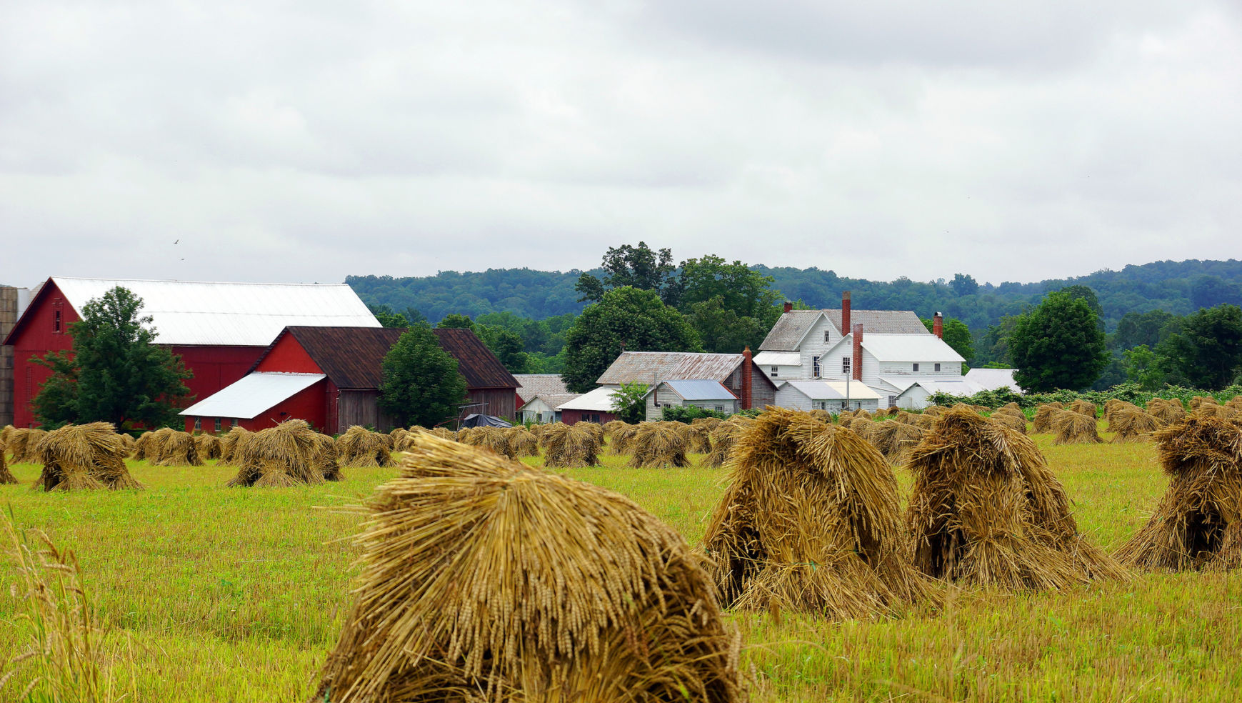 Amish Farm, Kidron, Ohio