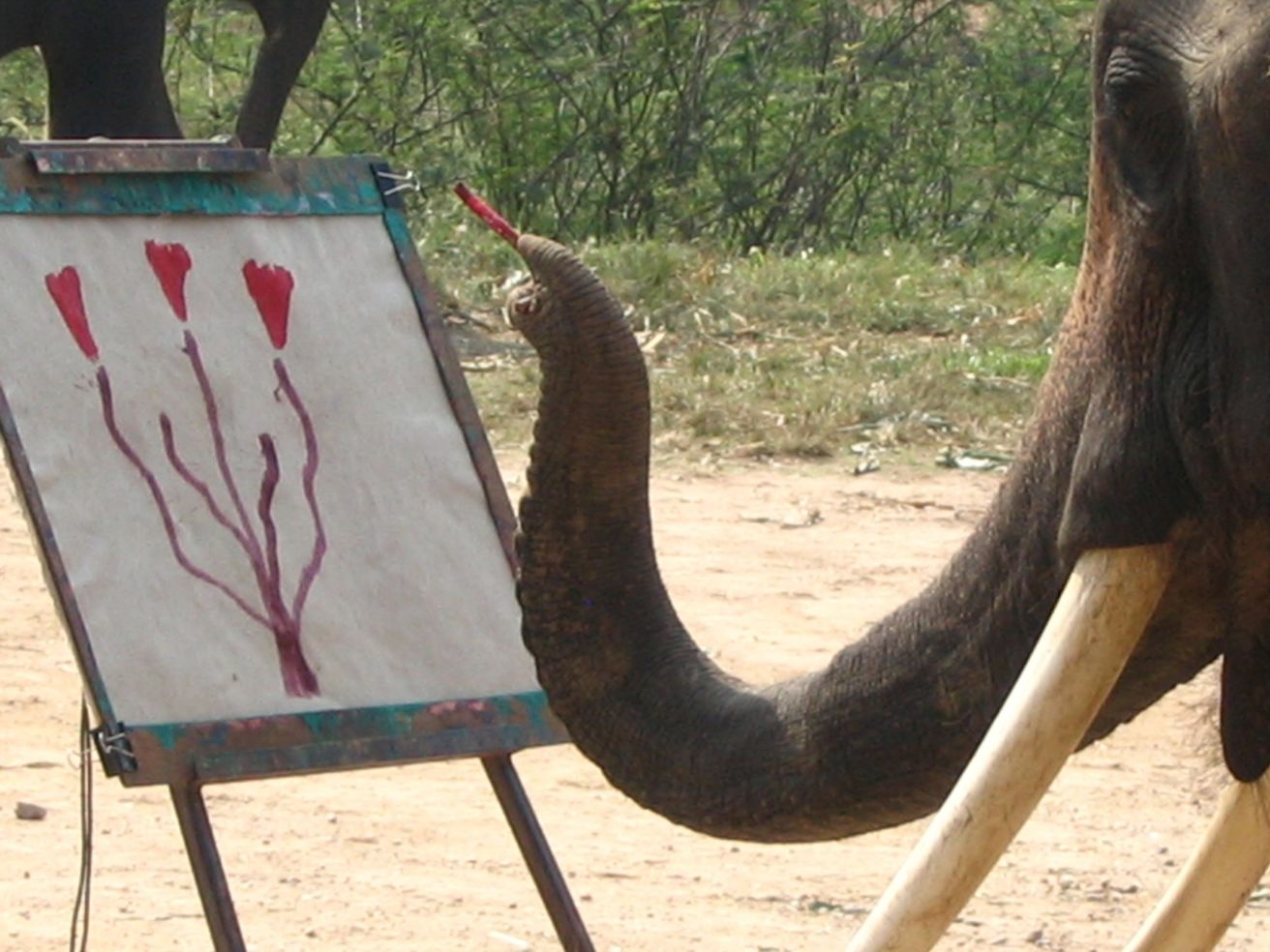 An elephant painting in Chiang Mai