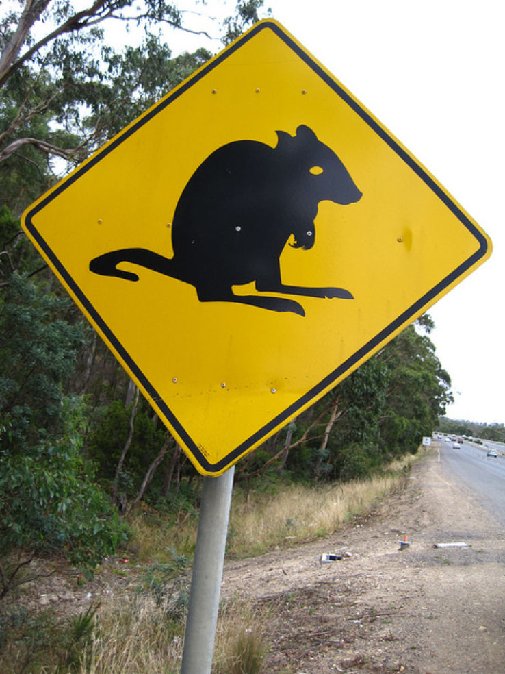 Tasmania
