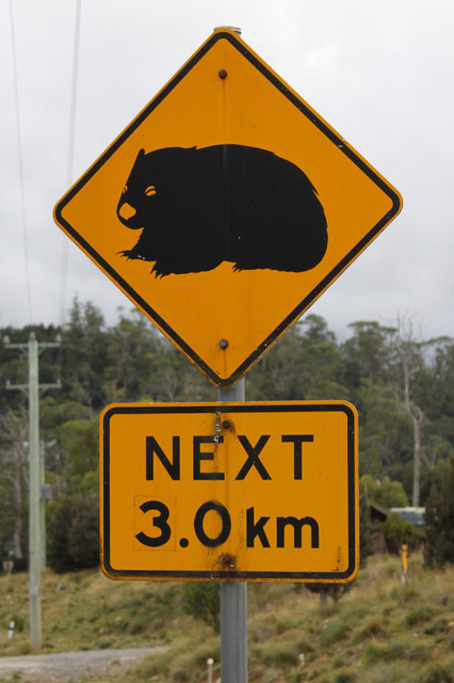 Photos: Wacky Animal Road Signs | Budget Travel