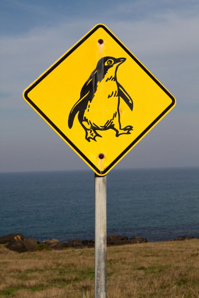 Photos: Wacky Animal Road Signs | Budget Travel