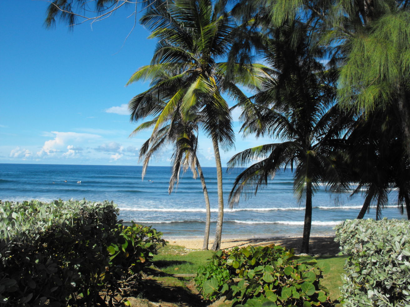 A beautiful beach in Barbados