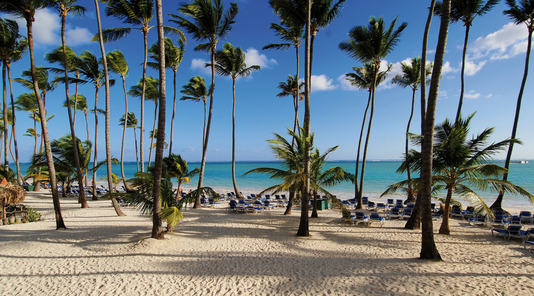 Barceló Bavaro Beach