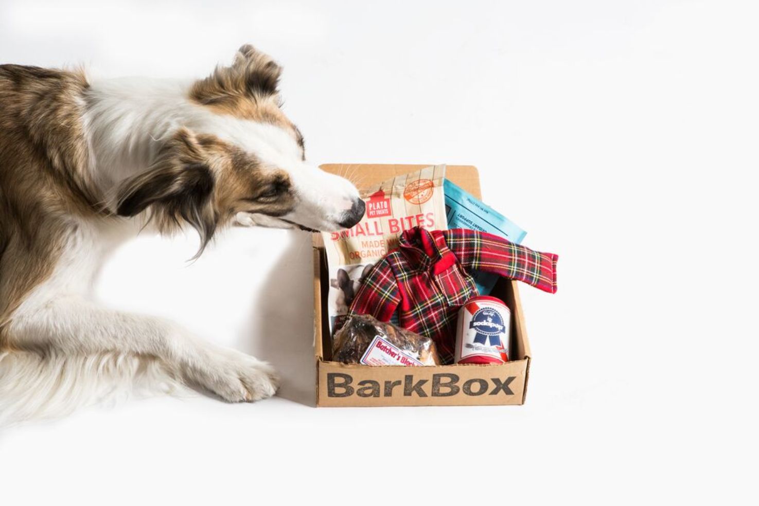 Barkbox
