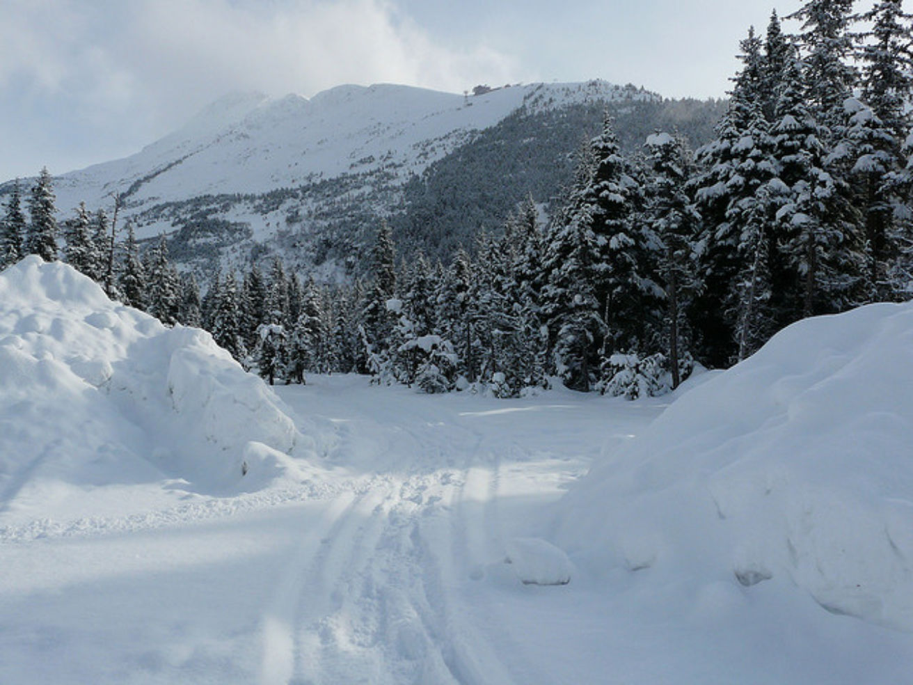 A beautiful mountain scene in Girdwood, Alaska