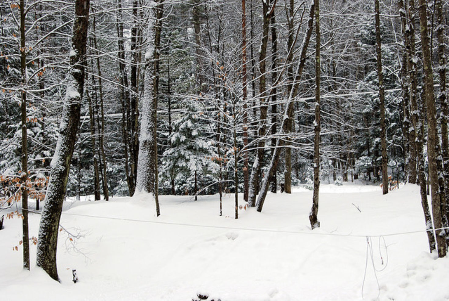 The White Mountains in New Hampshire
