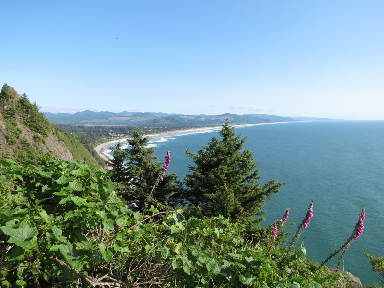 Beautiful Oregon coastline