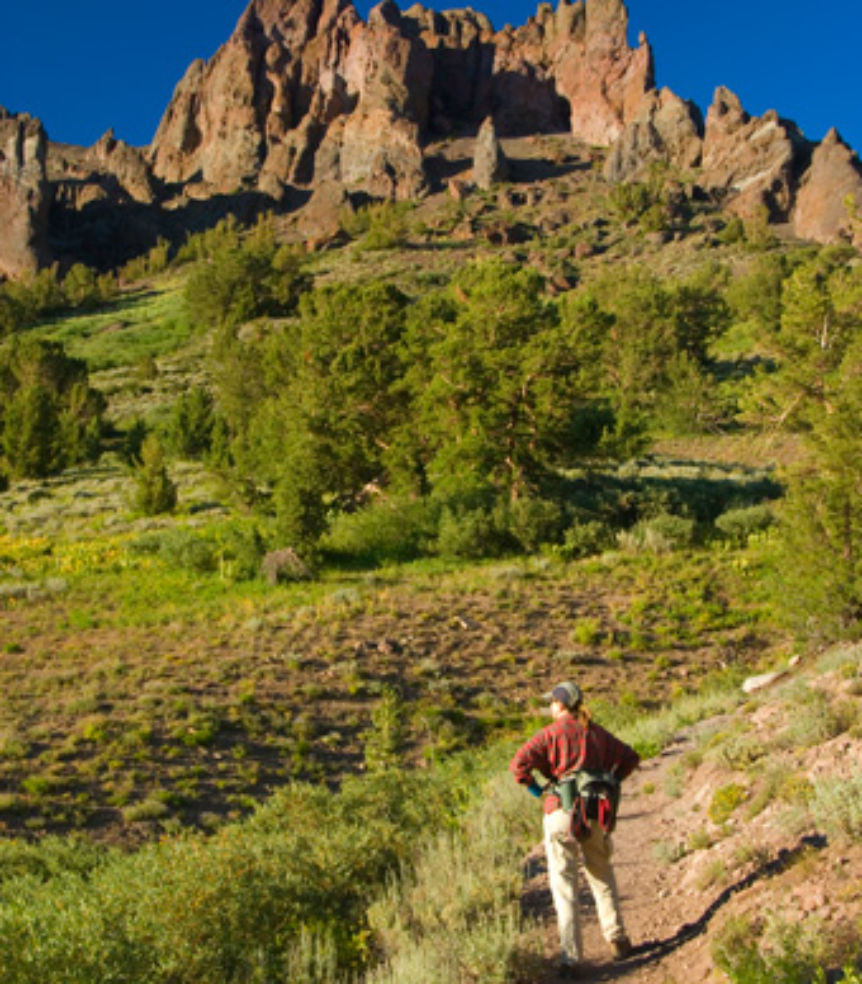 hiker in Pacific Crest Trail