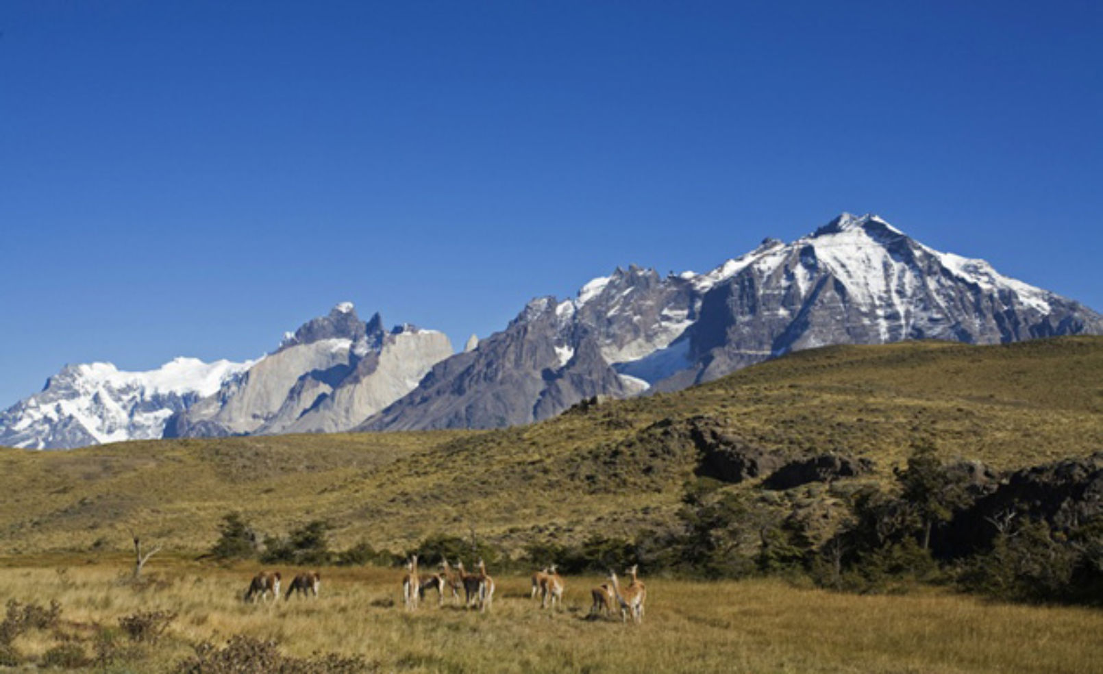 Torres del Paine