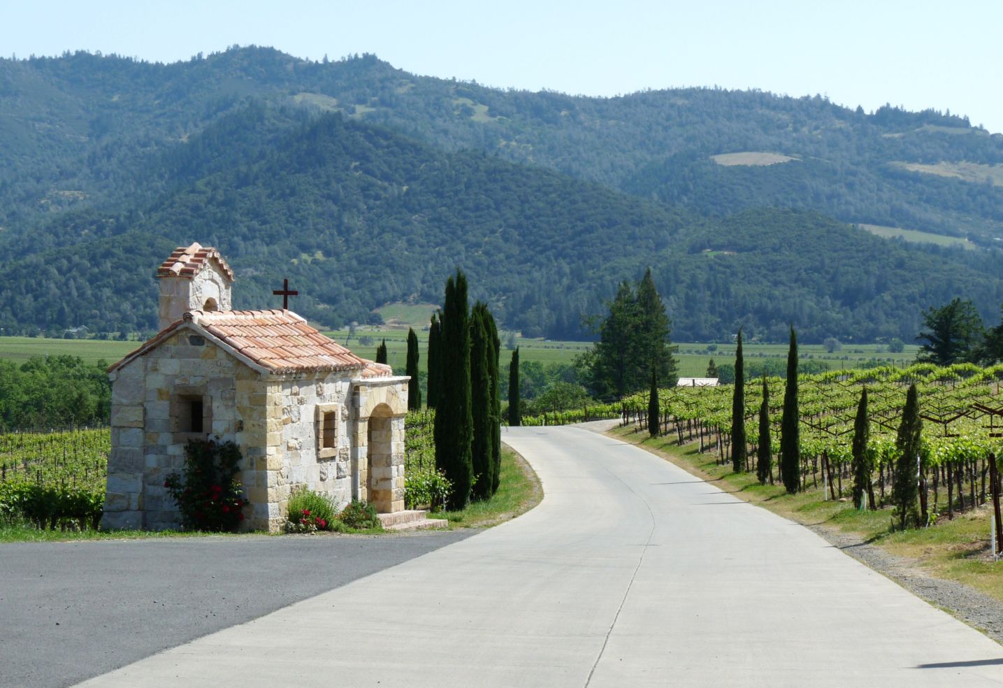 Napa Valley vineyard