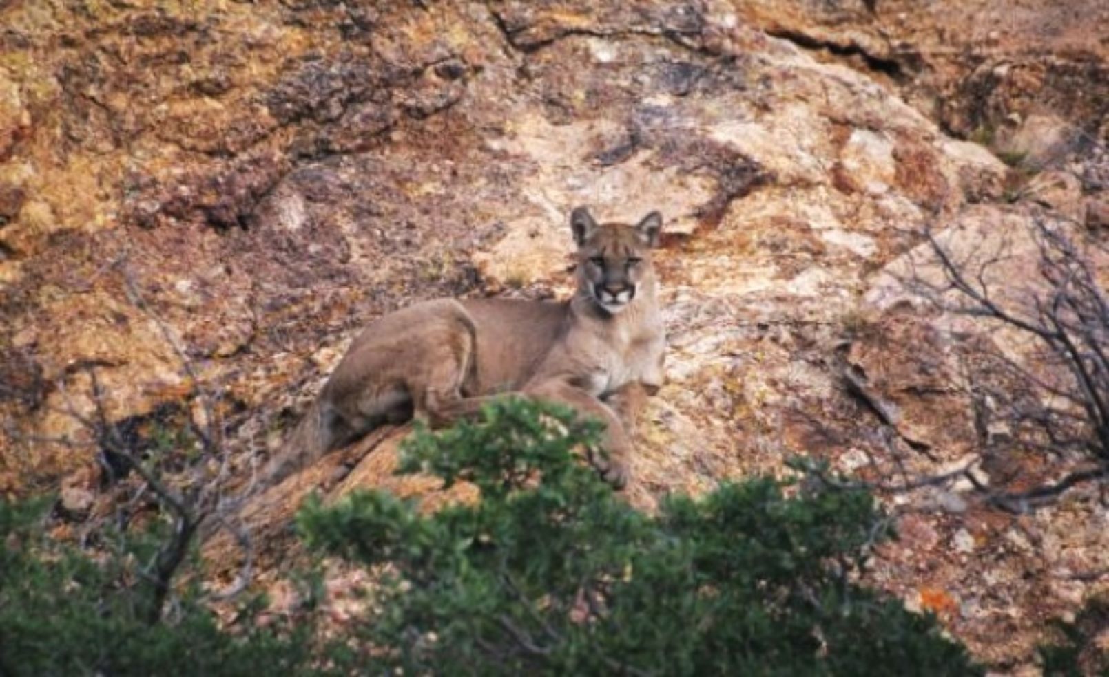 Best Spots to See Wildlife in the U.S. Budget Travel