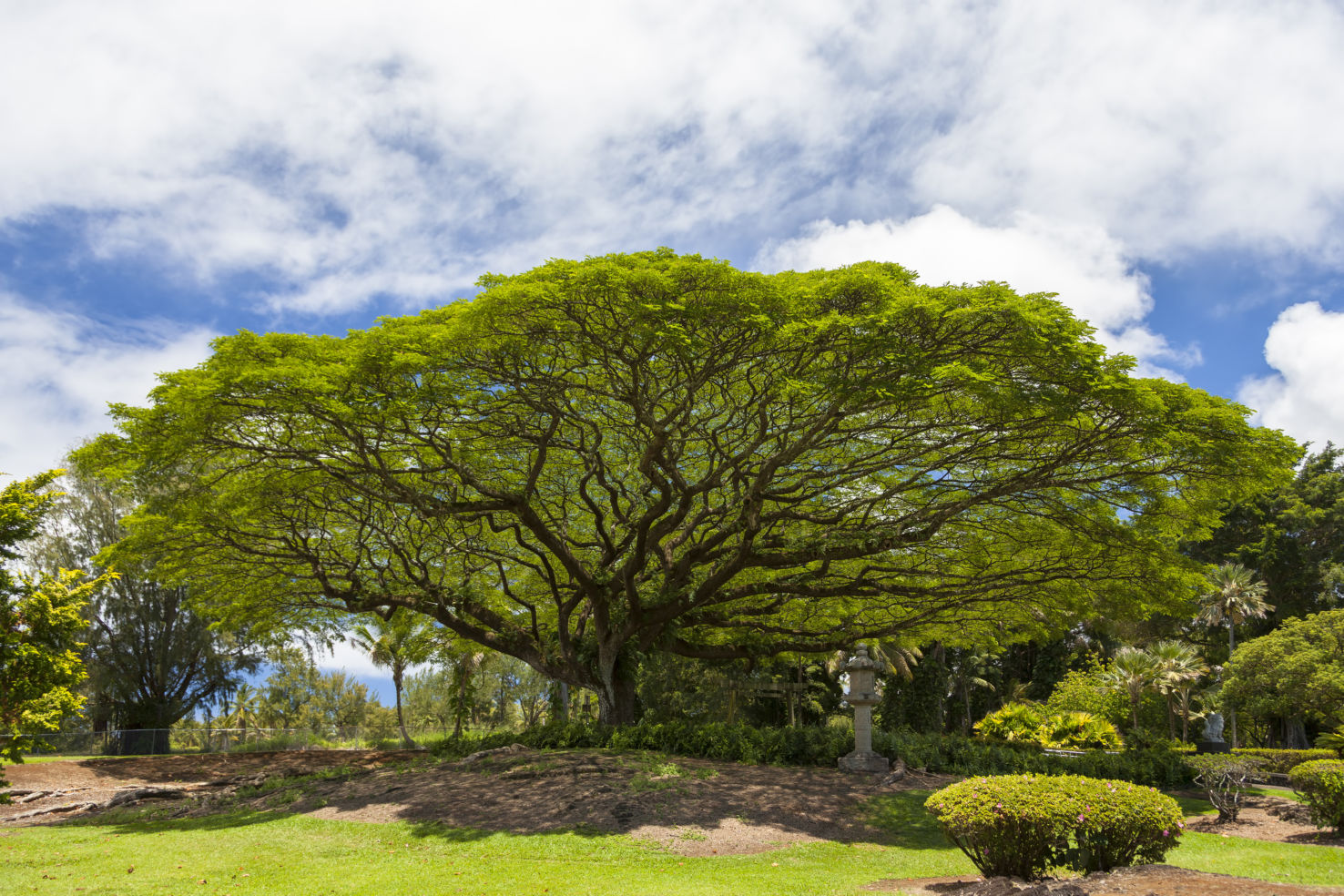 Big-Island_Hawaii_Hilo