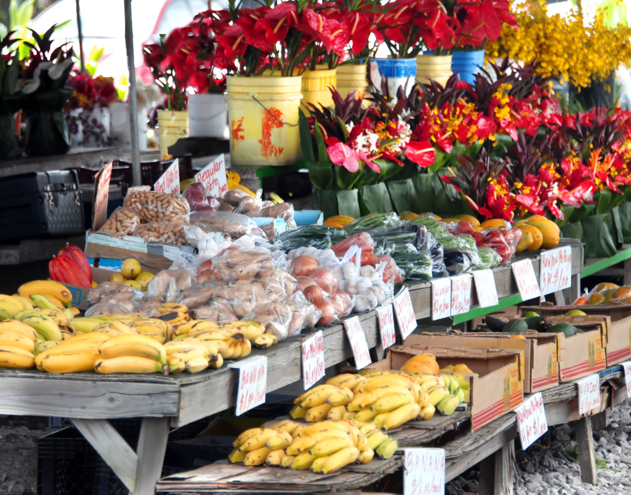 Big-Island_Hawaii_Hilo