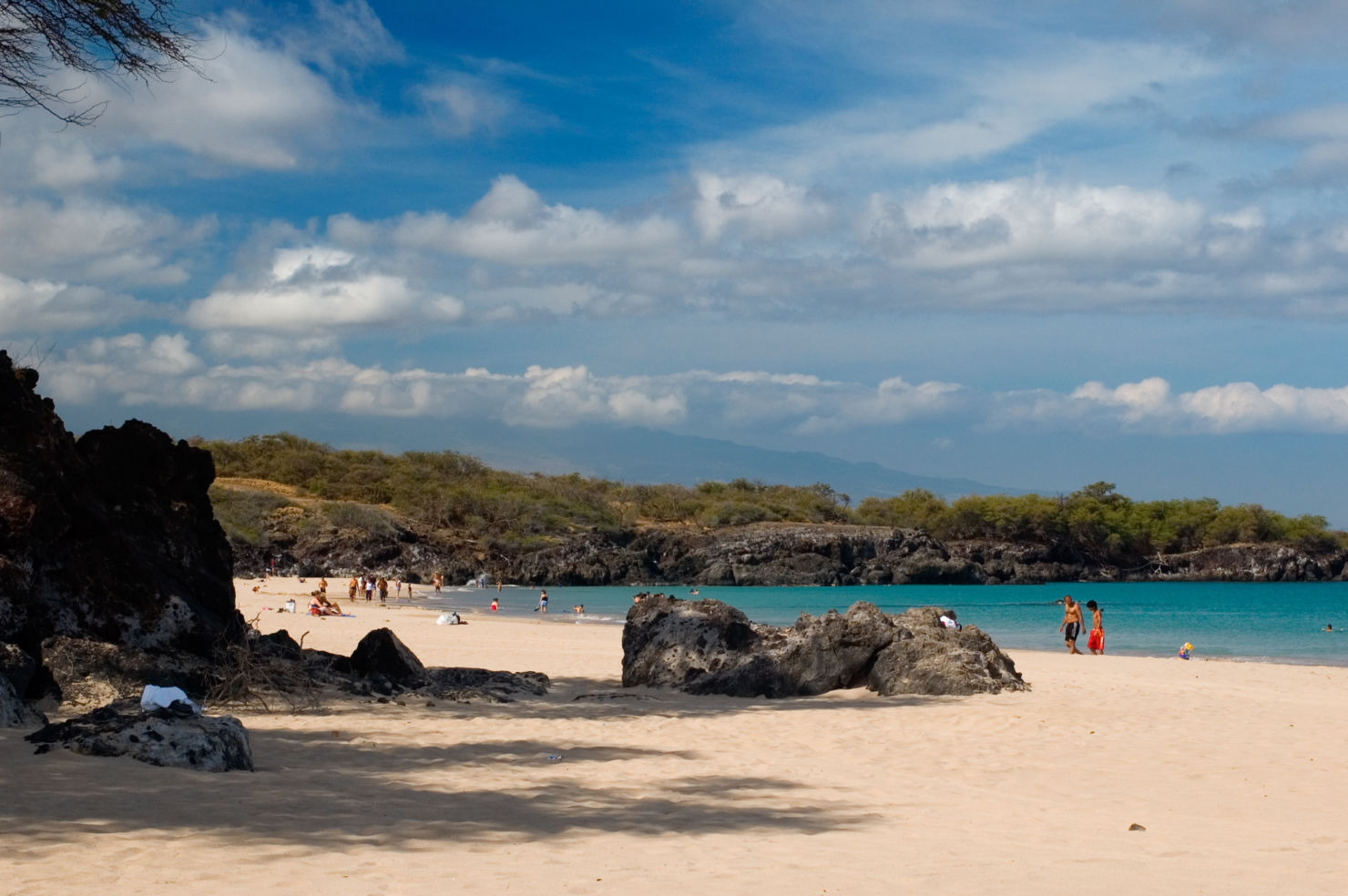 Big-Island_Hawaii_Kohala-Coast