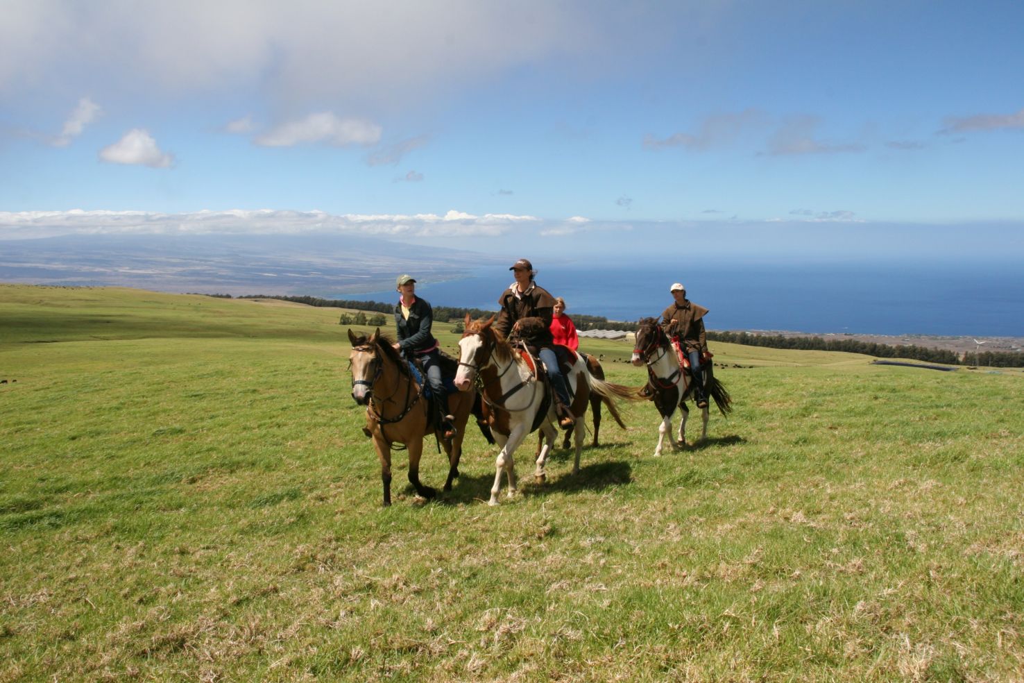 Big-Island_Hawaii_Waimea