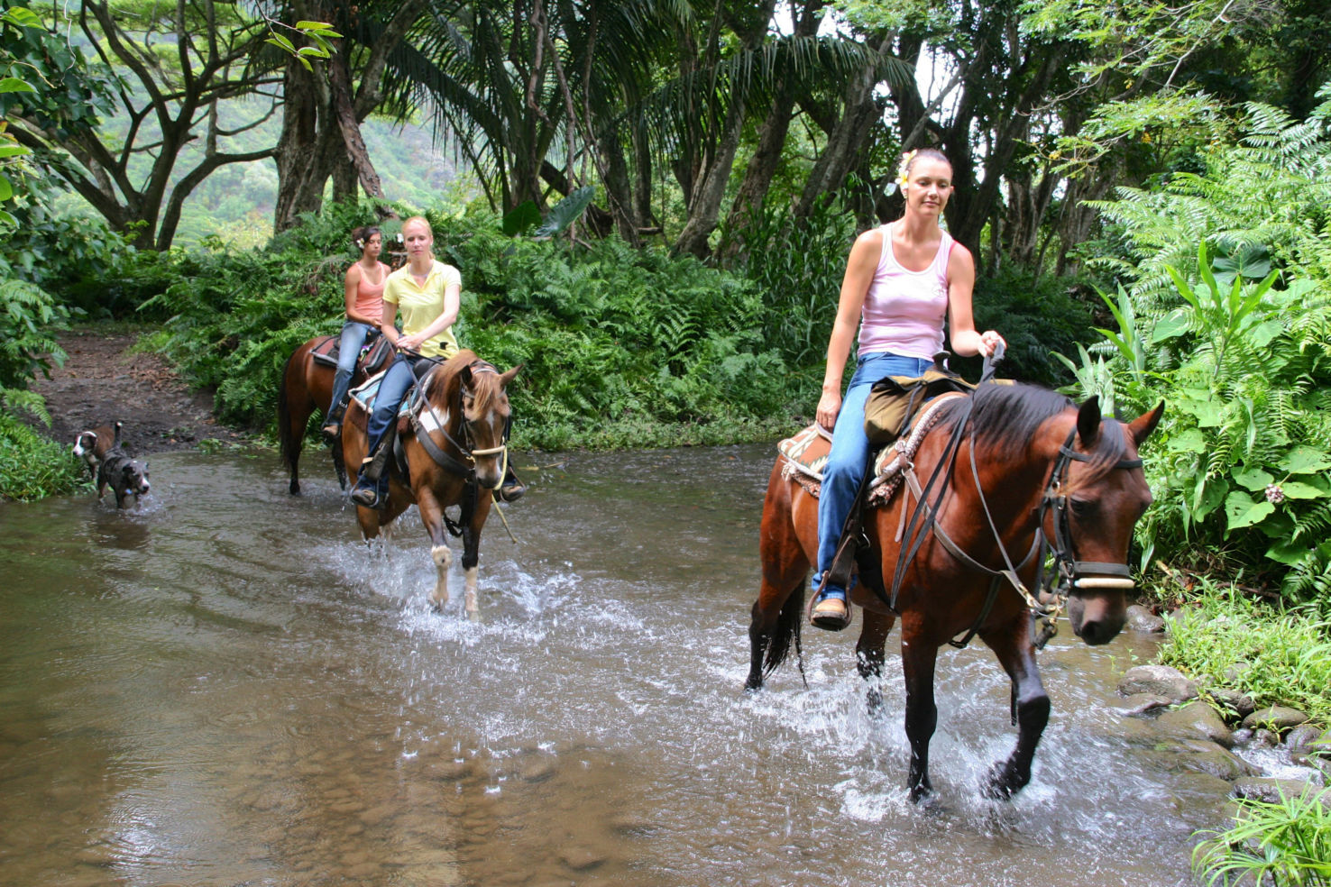 Big-Island_Hawaii_Waipio-Valley