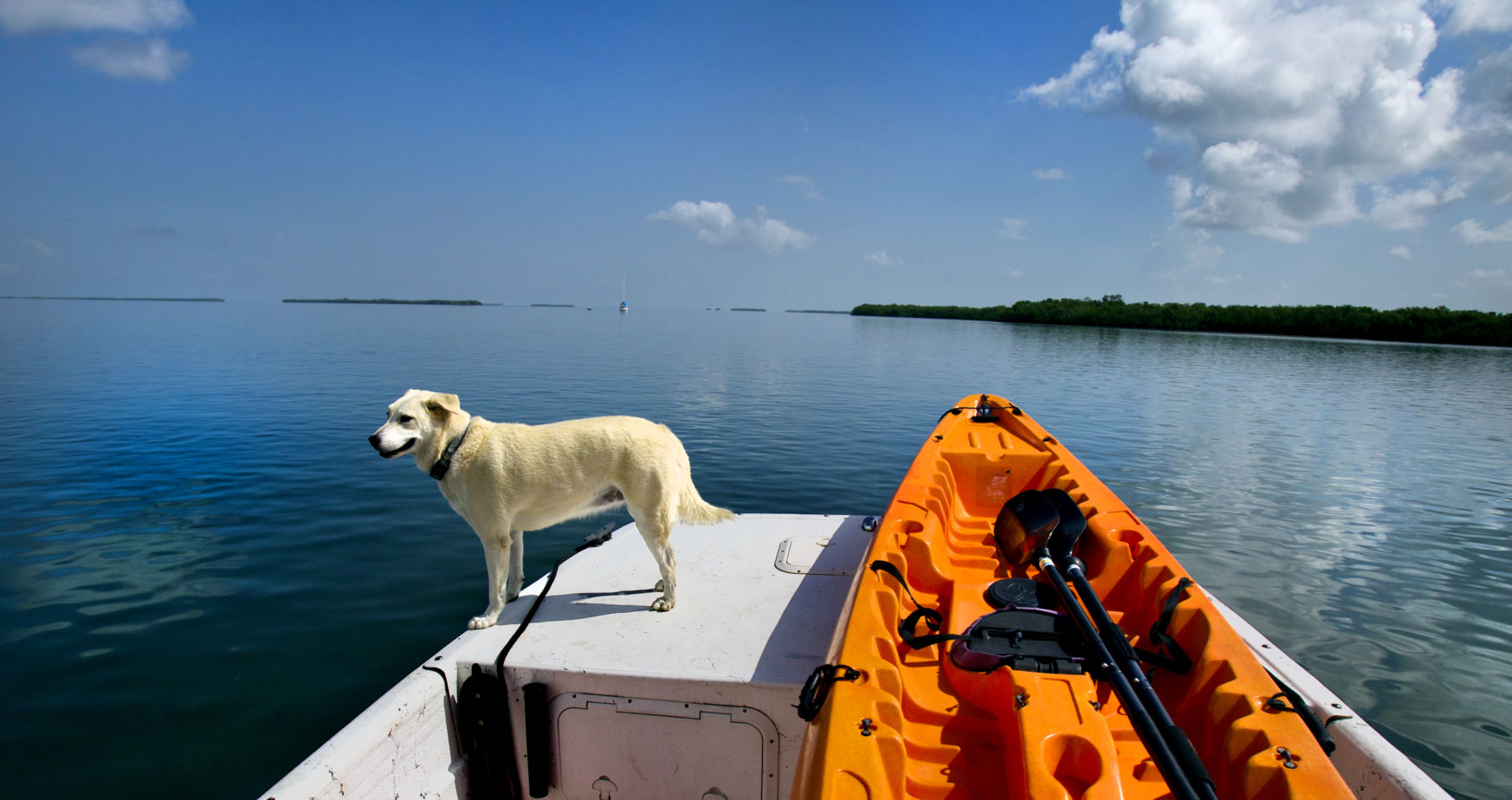 Big Pine Key
