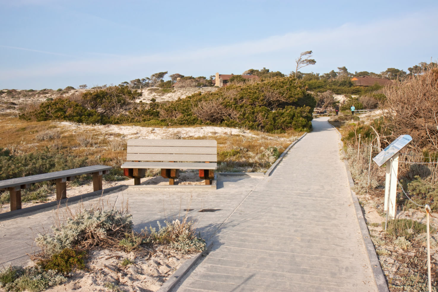 Asilomar State Park, Ailomar, CA