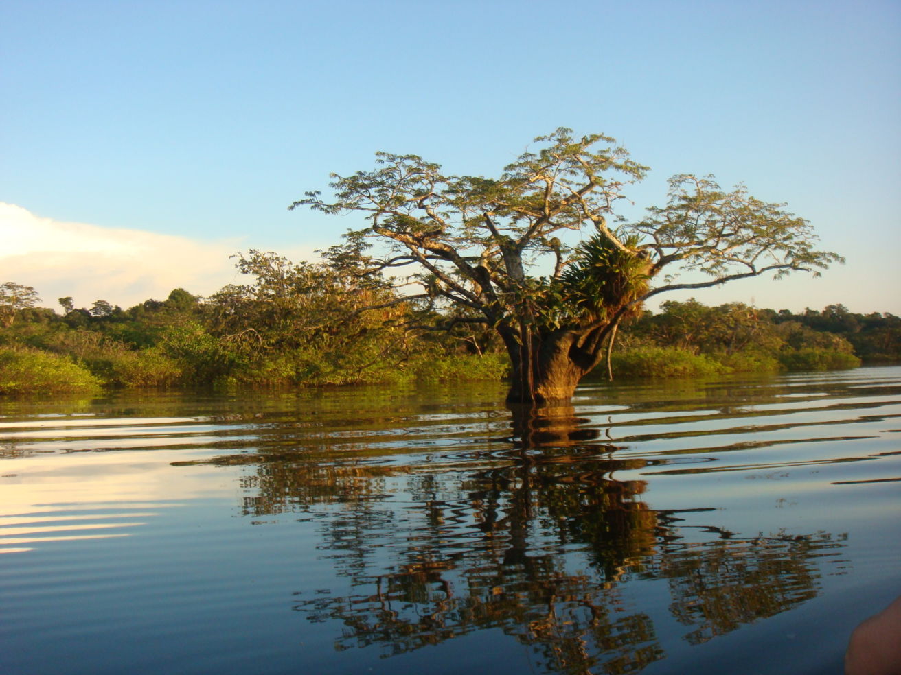 Cuyabeno National Park, Ecuador
