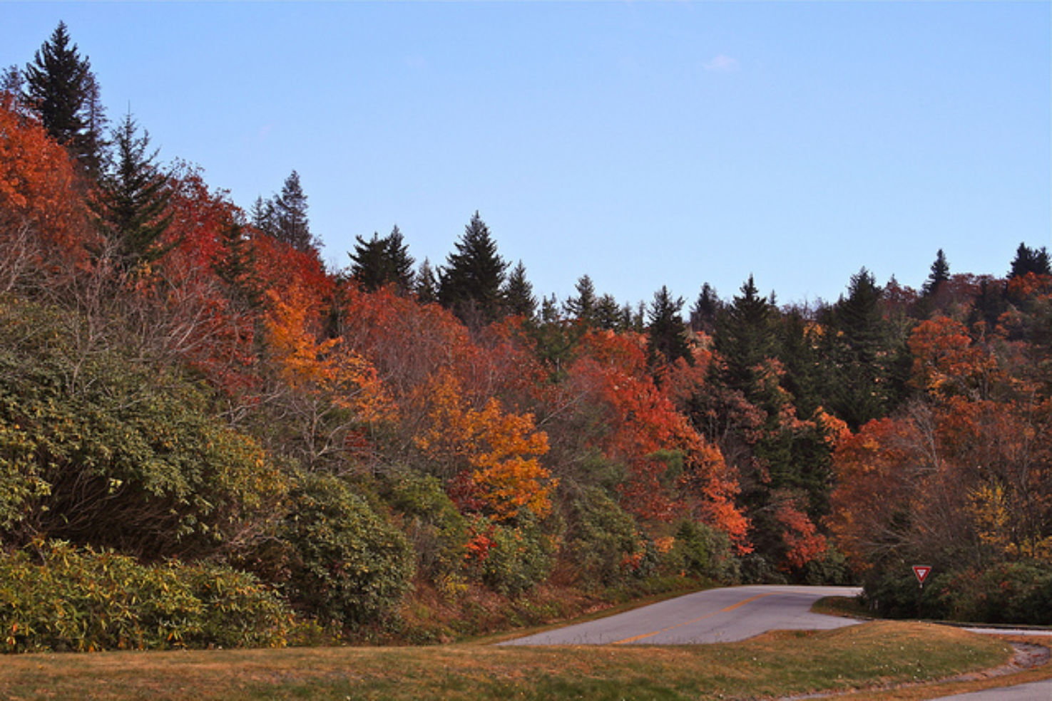 The Blue Ridge Parkway in the fall