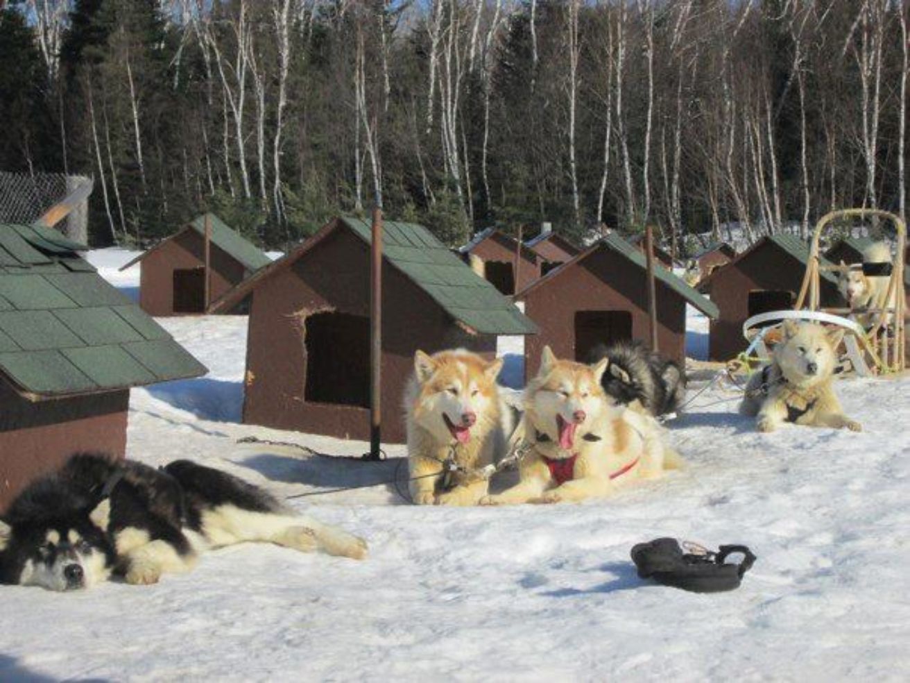 Bucket-List_Canada_dog-sledding_doghouse