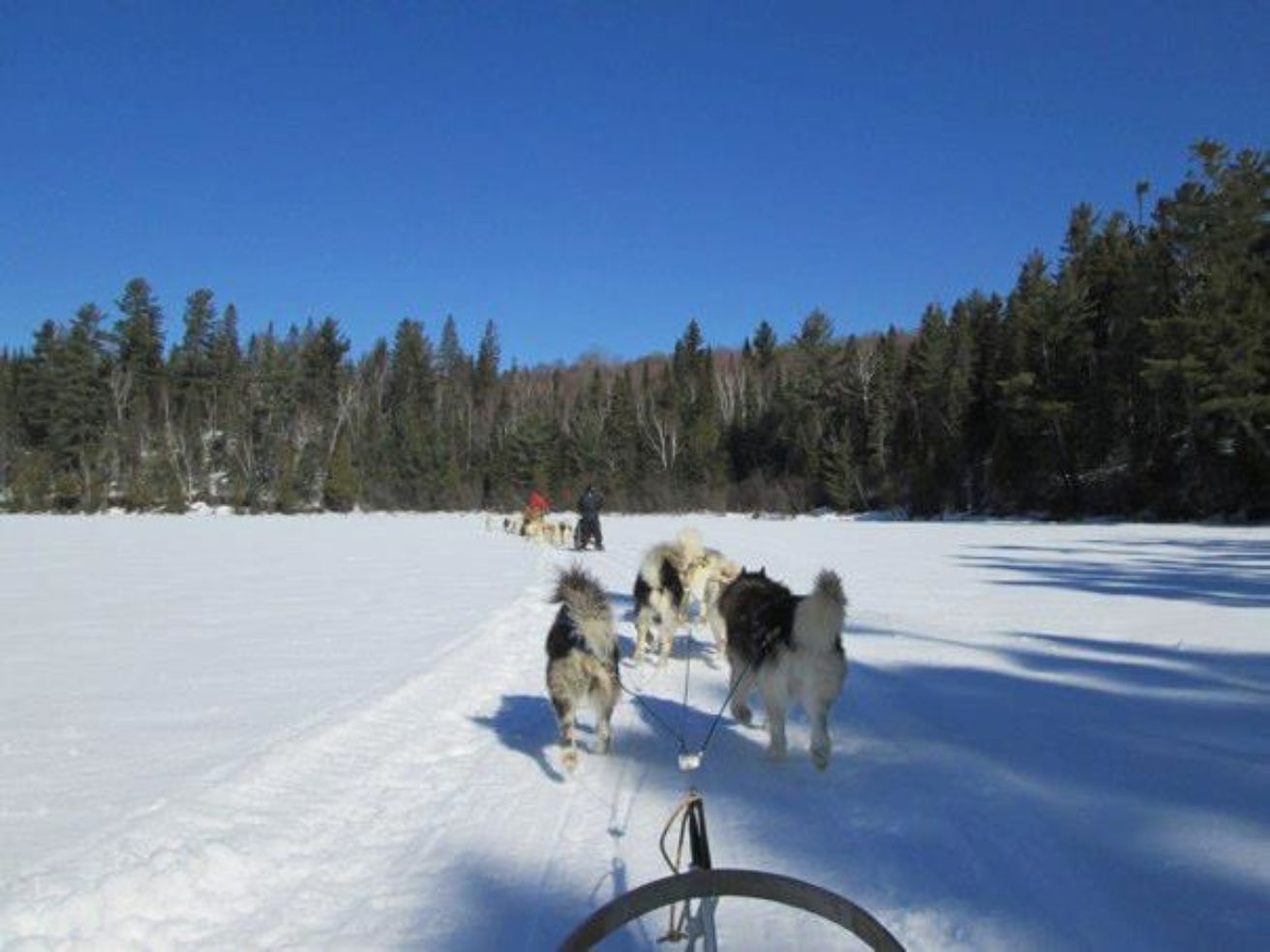 Bucket-List_Canada_dog-sledding_sled