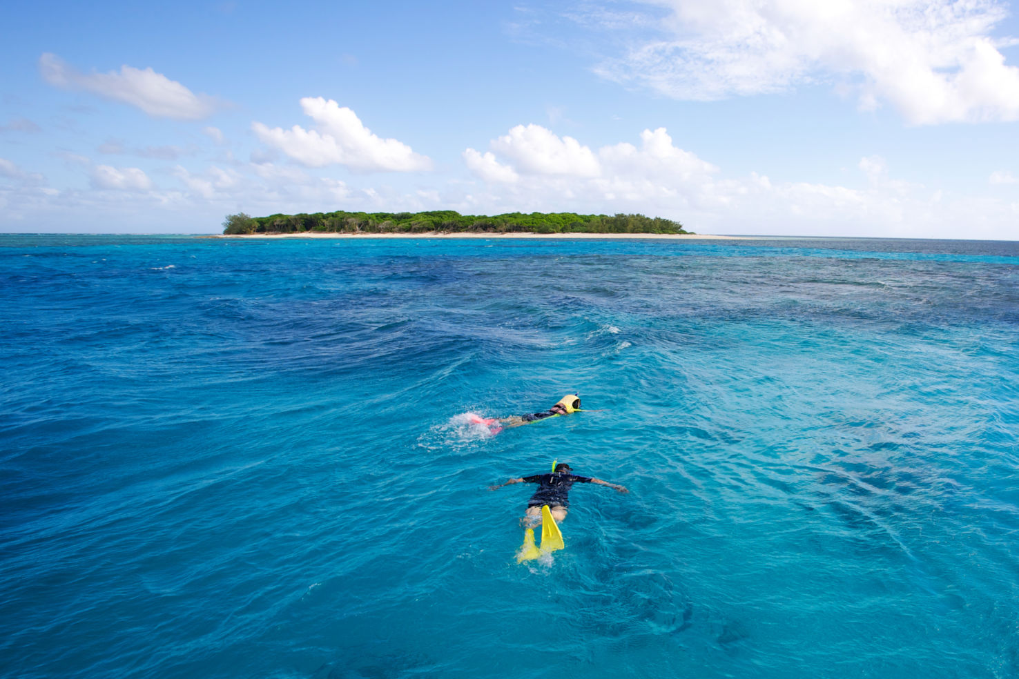 Bucket-List_Great-Barrier-Reef_swimming